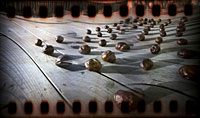 60 Chestnuts, Flying Cloud