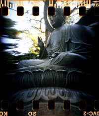 Buddha, Japanese Garden