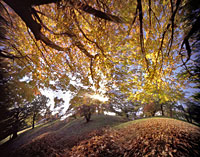 Boothe Park #2