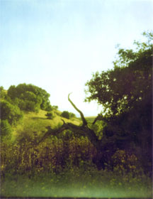 Filter Tough Minus green .5