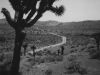 Near Saline Valley Road, Death Valley, CA