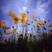 Dance with winds, zero2000